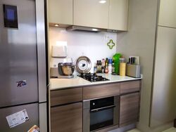 The Meyerise (D15), Condominium #377878011